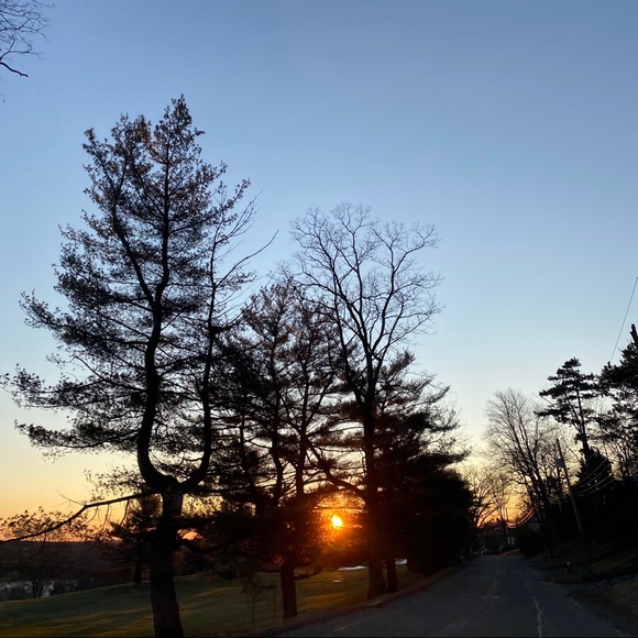 Meet your Posher, Madison - Picture 1 of 1